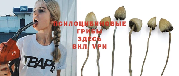 прущие крисы Нефтегорск