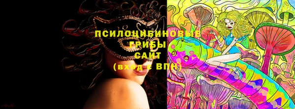 МДПВ Новодвинск