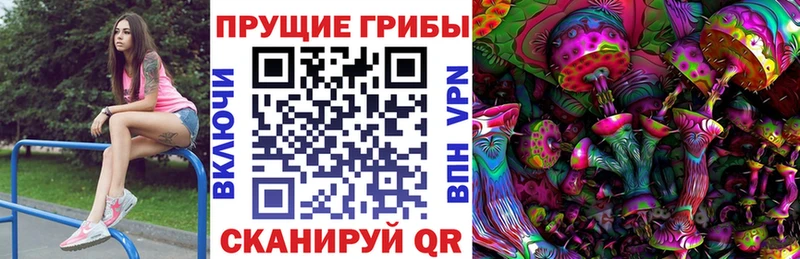где можно купить наркотик  Балашов  Галлюциногенные грибы мицелий 
